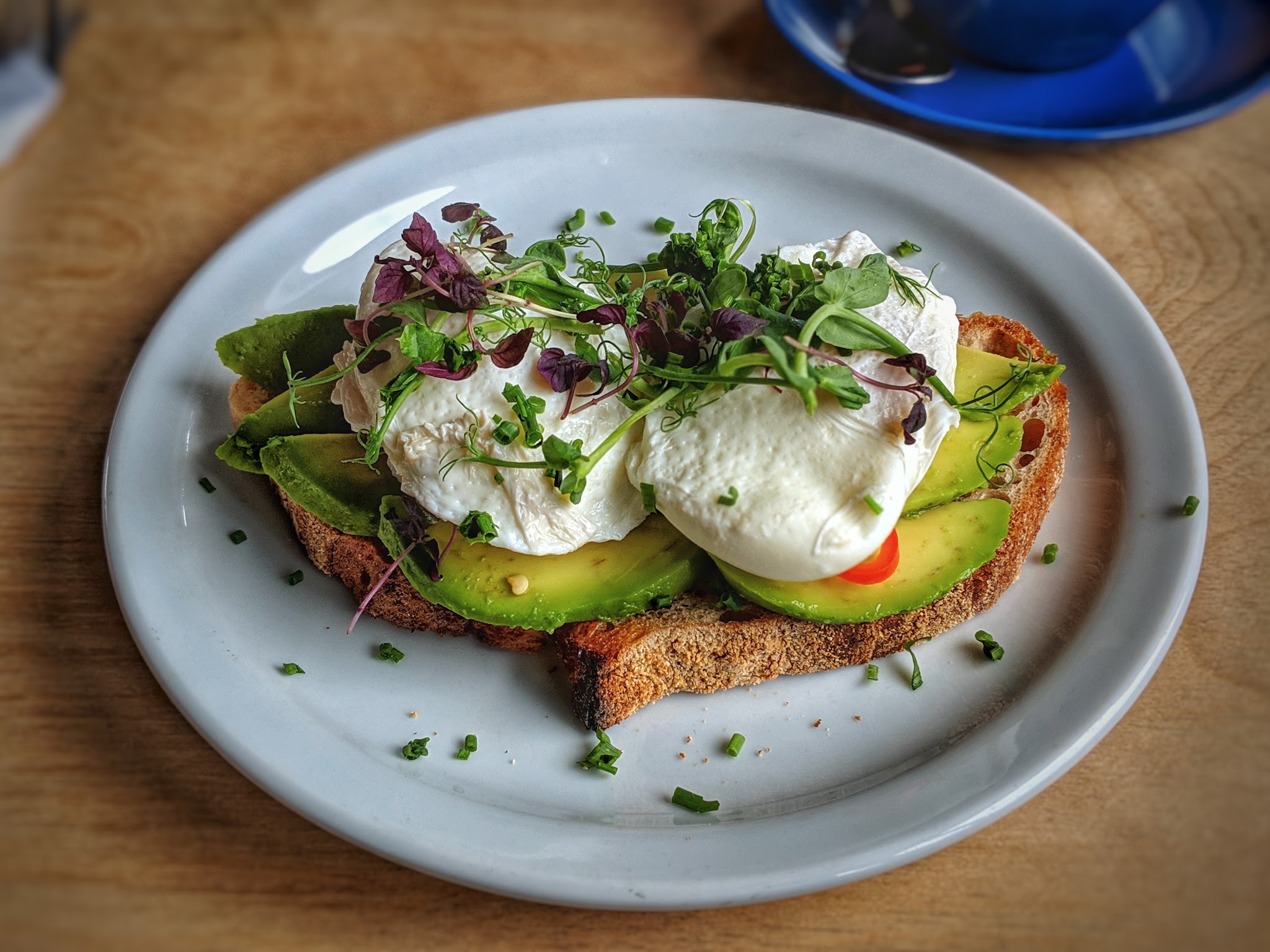 A plated brunch and a blue coffee cup at Woodlawn
